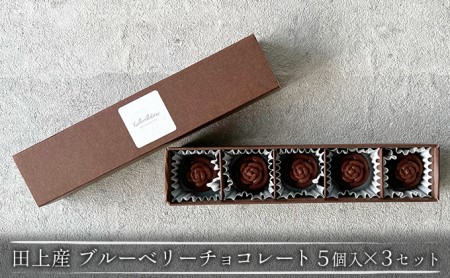 田上産 栽培期間中無農薬ブルーベリーで作るチョコレート 5個入×3セット