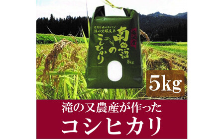 令和5年産 滝の又農産が作ったお米 精米5kg【湯沢産コシヒカリ】