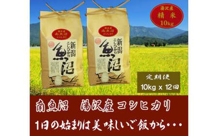 【12ヶ月定期便】令和5年産 湯沢産コシヒカリ＜白米＞10kg（5kg×2袋）精米したてのお米をお届け