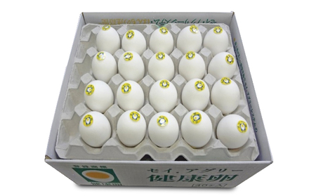 セイアグリー健康卵 40個入り たまご 玉子 鶏卵 セット
