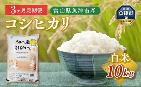 10kg（5kg×2袋）×3ヶ月定期便 富山県うおづ産米コシヒカリ 白米 富山米