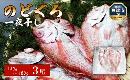 のどぐろ 干物 3尾 富山湾産 130g～180g級 のどぐろ開き 浜浦水産 魚介 魚介類 海鮮 魚 ひもの