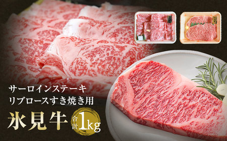 氷見牛サーロインステーキ250g×2＆氷見牛リブロースすき焼き用500g　【牛肉・お肉】