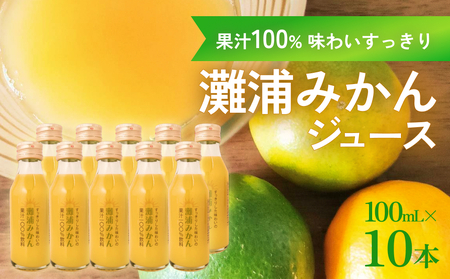 すっきりした味わいの灘浦みかん果汁100％飲料10本セット 富山県 氷見市 フルーツ みかんジュース 柑橘 ストレートジュース