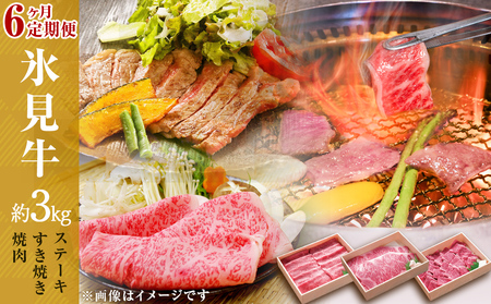 氷見牛ステーキ用&すき焼き肉用&焼肉用6ヶ月お届け 富山県 氷見市 定期便 牛肉 お肉