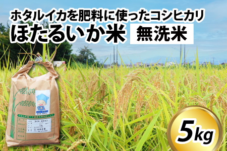 【訳あり】ほたるいか米（無洗米５kg）【通年発送】