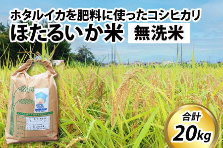 【訳あり】ほたるいか米（無洗米２０kg）【通年発送】