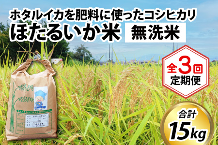 【訳あり】ほたるいか米（無洗米５kg）×3回 計15kg【3ヶ月定期便】