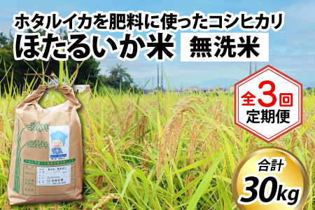 【訳あり】ほたるいか米（無洗米10kg）×3回 計30kg【3ヶ月定期便】