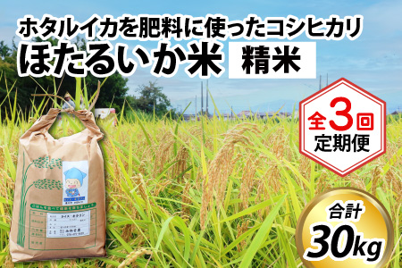 【訳あり】ほたるいか米（精米10kg）×3回 計30kg【3ヶ月定期便】