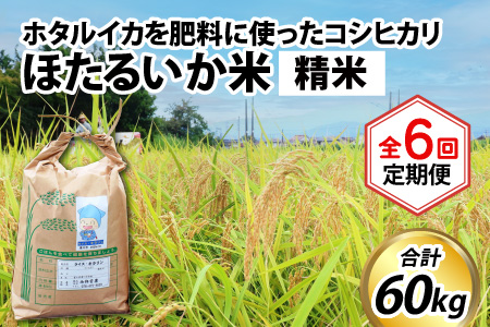 【訳あり】ほたるいか米（精米10kg）×6回 計60kg【6ヶ月定期便】