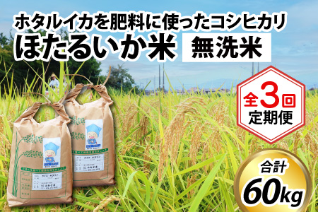 【訳あり】ほたるいか米（無洗米20kg）×3回 計60kg【3ヶ月定期便】