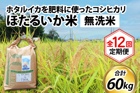 【訳あり】ほたるいか米（無洗米５kg）×12回 計60kg【12ヶ月定期便】