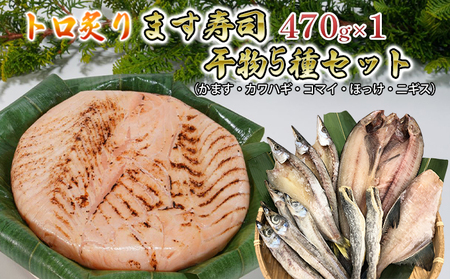 トロ炙ります寿司と干物5種（かます・カワハギ・コマイ・ほっけ・ニギス）セット　富山県黒部市