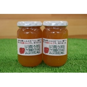 りんご加工品セット1(ジュース＆ジャム)【1290523】