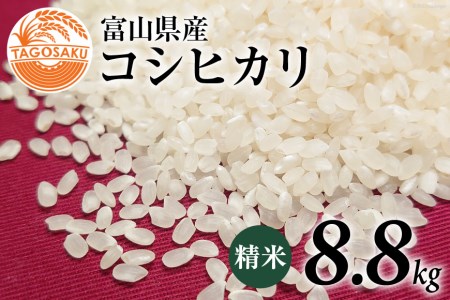 米 令和5年 コシヒカリ 精米 8.8kg / TAGOSAKU / 富山県 朝日町 [34310216] お米 白米 こしひかり 一等米 美味しい