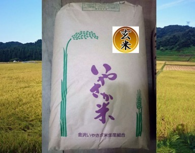 金沢いやさか米 コシヒカリ（玄米）30kg  石川 金沢 加賀百万石 加賀 百万石 北陸 北陸復興 北陸支援