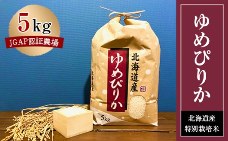 特別栽培米 令和5年産北海道産ゆめぴりか 5kg精米【1206355】