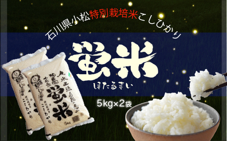 令和５年産【特別栽培米コシヒカリ】 蛍米精米10kg（5kg×2袋） 016018.