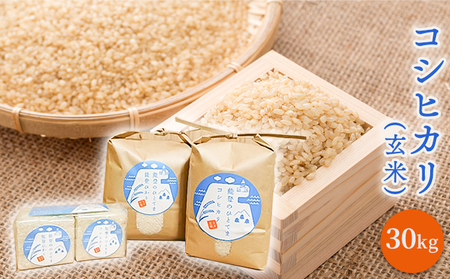【令和5年度産米】コシヒカリ（玄米）30kg