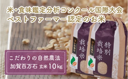 加賀百万石特別栽培米コシヒカリ玄米10kg