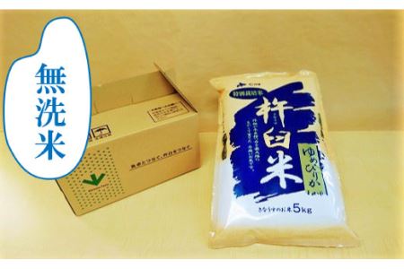 【無洗米6ヶ月定期便】特別栽培「きなうす米」ゆめぴりか5kg×6回