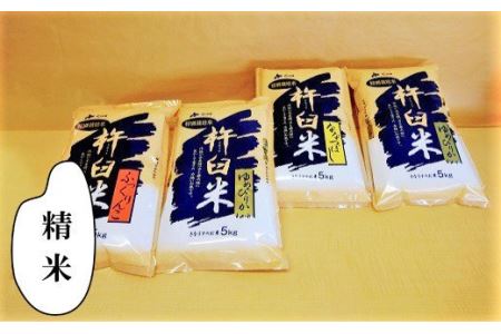 【精米2ヶ月定期便】特別栽培「きなうす米」3品種セット10kg×2回