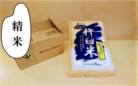 【精米6ヶ月定期便】特別栽培「きなうす米」ななつぼし5kg×6回