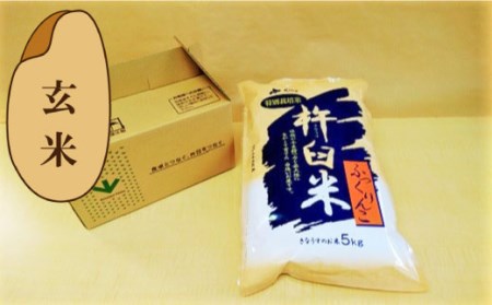 【玄米12ヶ月定期便】特別栽培「きなうす米」ふっくりんこ5kg×12回