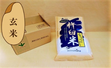 【玄米6ヶ月定期便食べ比べセット】特別栽培「きなうす米」 毎月3品種×5kg計15kg