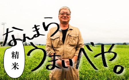 【精米12ヶ月定期便】特別栽培「きなうす米」ゆめぴりか10kg×12回