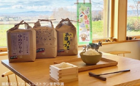 【北海道米定期便】人気の3品種 2回 計25kg