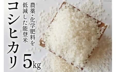 【先行受付】米 令和6年 能登米 コシヒカリ 精米 5kg [みどりの波 石川県 宝達志水町 38600567] お米 ごはん 白米 こしひかり 美味しい