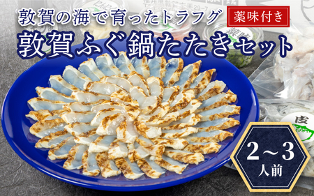 フグ 敦賀ふぐ鍋たたきセット（2～3人用） 【ふぐのたたき 冷蔵 海鮮 鍋 なべ 河豚】