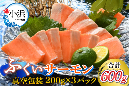 国産 ふくいサーモン 200g × 3パック 合計600g 刺身 サケ 鮭[A-001033]