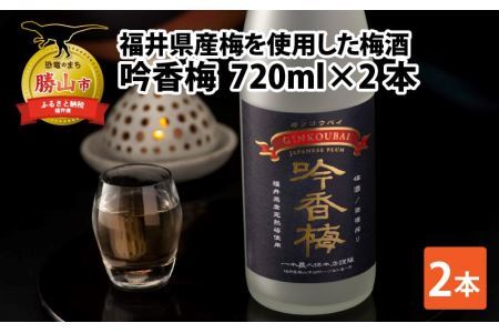 福井県産梅を使用した梅酒　吟香梅(720ml×2本) [A-008036]
