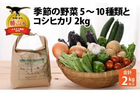 季節の野菜5～10種類と令和5年産 コシヒカリ2kg [A-020006]