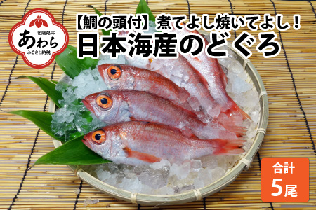 【真鯛の頭付き】煮てよし焼いてよし！ 日本海産のどぐろ 5パック ／  高級魚 ビール 煮魚 焼き魚 おつまみ 魚介類 海の幸 国産 個包装 お取り寄せ