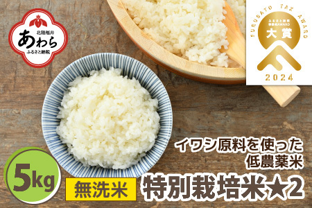 【令和4年産新米】【先行予約】特別栽培米 コシヒカリ 5kg 無洗米 福井県産
