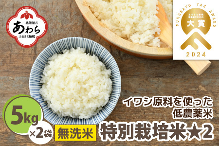 【令和4年産新米】【先行予約】特別栽培米 コシヒカリ 10kg（5kg×2袋）無洗米 福井県産