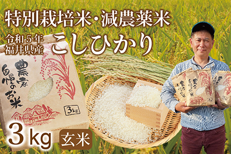 〈新米〉減農薬米 こしひかり 3kg ／令和5年福井県産 （玄米）