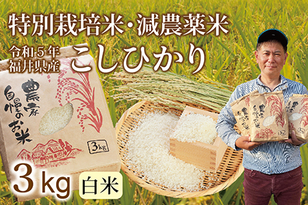 〈新米〉減農薬米 こしひかり 3kg ／令和5年福井県産 （白米）