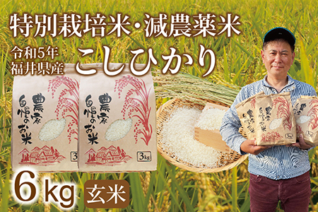 〈新米〉減農薬米 こしひかり 6kg ／令和5年福井県産 （玄米）