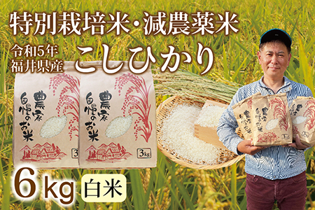 〈新米〉減農薬米 こしひかり 6kg ／令和5年福井県産 （白米）