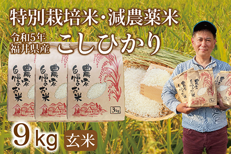 〈新米〉減農薬米 こしひかり 9kg ／令和5年福井県産 （玄米）