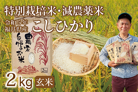 〈新米〉減農薬米 こしひかり 2kg ／令和5年福井県産 （玄米）