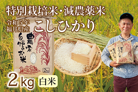 〈新米〉減農薬米 こしひかり 2kg ／令和5年福井県産 （白米）