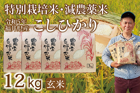 〈新米〉減農薬米 こしひかり 12kg ／令和5年福井県産 （玄米）
