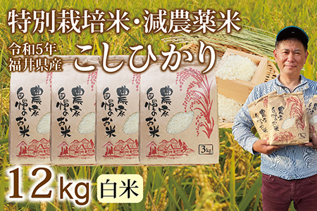 〈新米〉減農薬米 こしひかり 12kg ／令和5年福井県産 （白米）