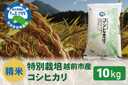 【令和5年度新米 精米】特別栽培 越前市産コシヒカリ 10kg